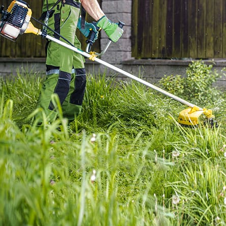 green leaf zone brush clearing