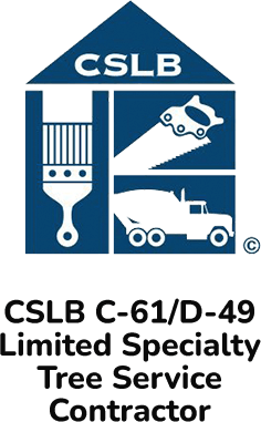 cslb c 61 d 49 limited specialty tree service contractor