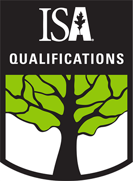 isa qualifications