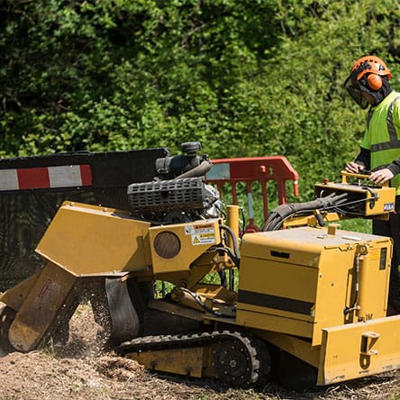 green leaf zone stump removal jpg