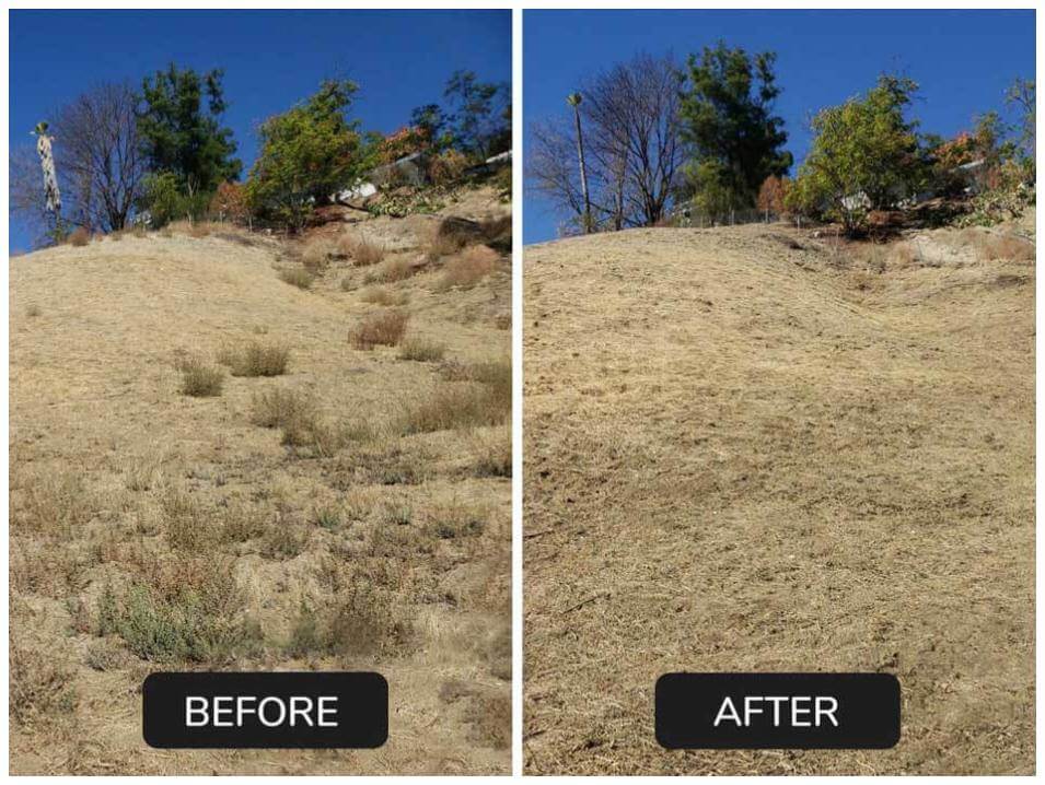 Before and after brush cleared from hill