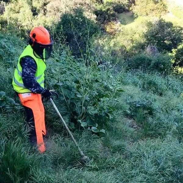 Man with weed whacker